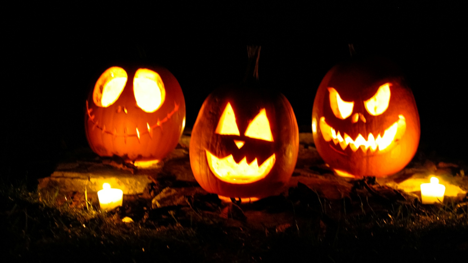Three jack-o-lanterns glowing in the darkness.