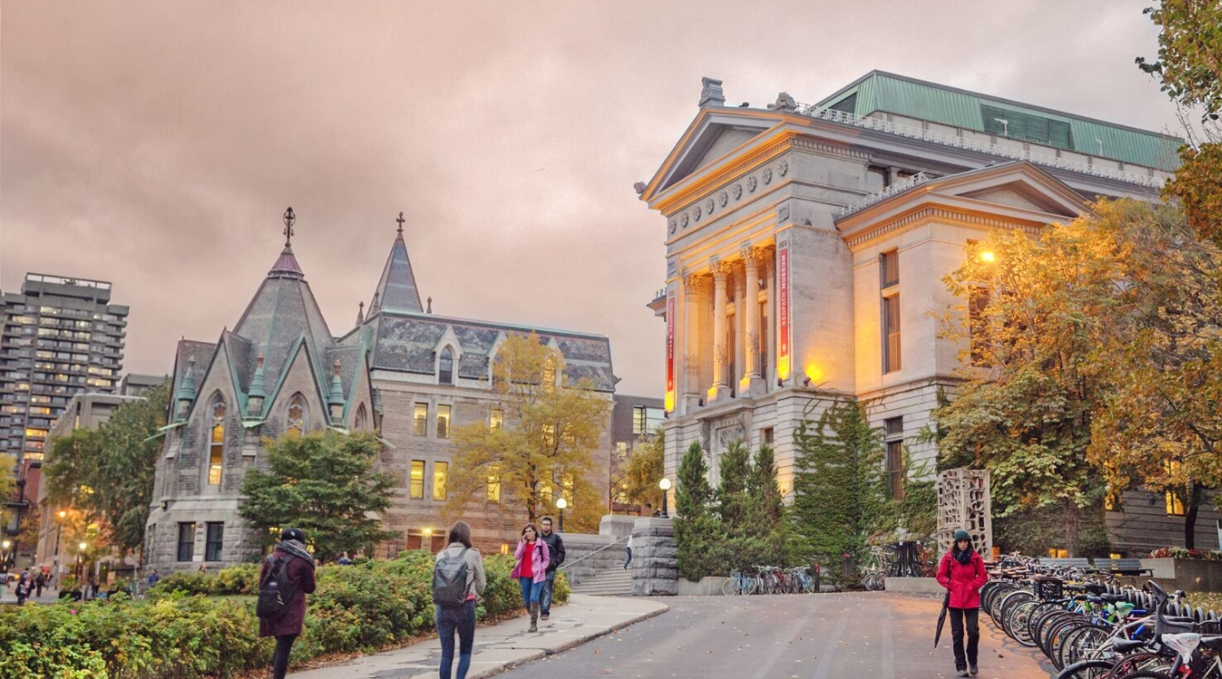 Faculty & Staff Student Wellness Hub McGill University