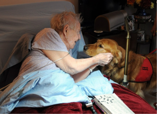 woman petting dog in her bed