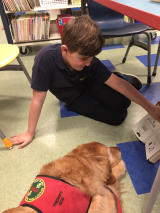 biy reading his book to dog