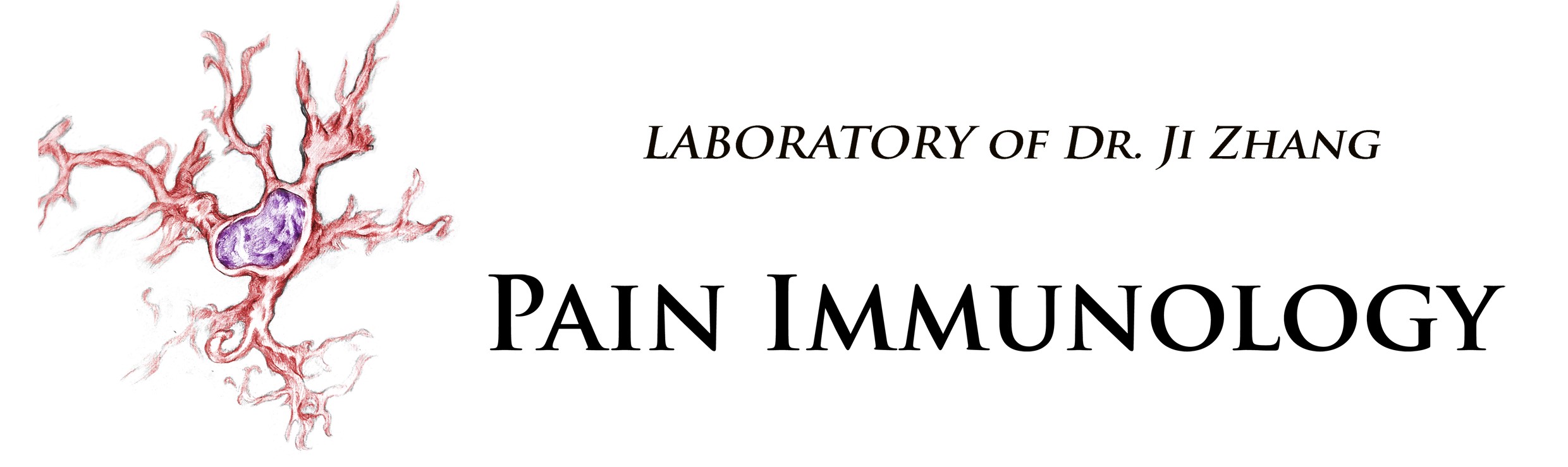 banner for Ji Zhang pain immunology  lab front page